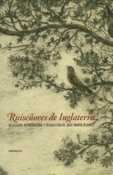 RUISEÑORES DE INGLATERRA
