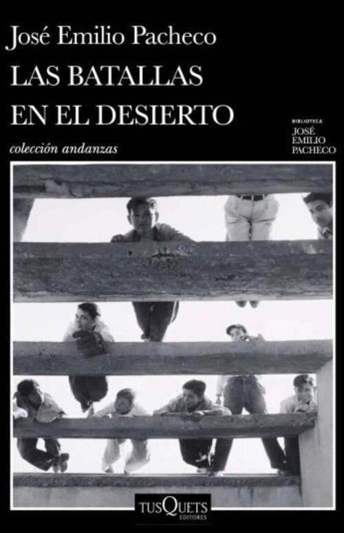LAS BATALLAS EN EL DESIERTO