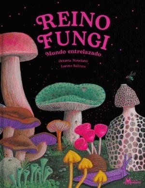 REINO FUNGI (Nuevo)