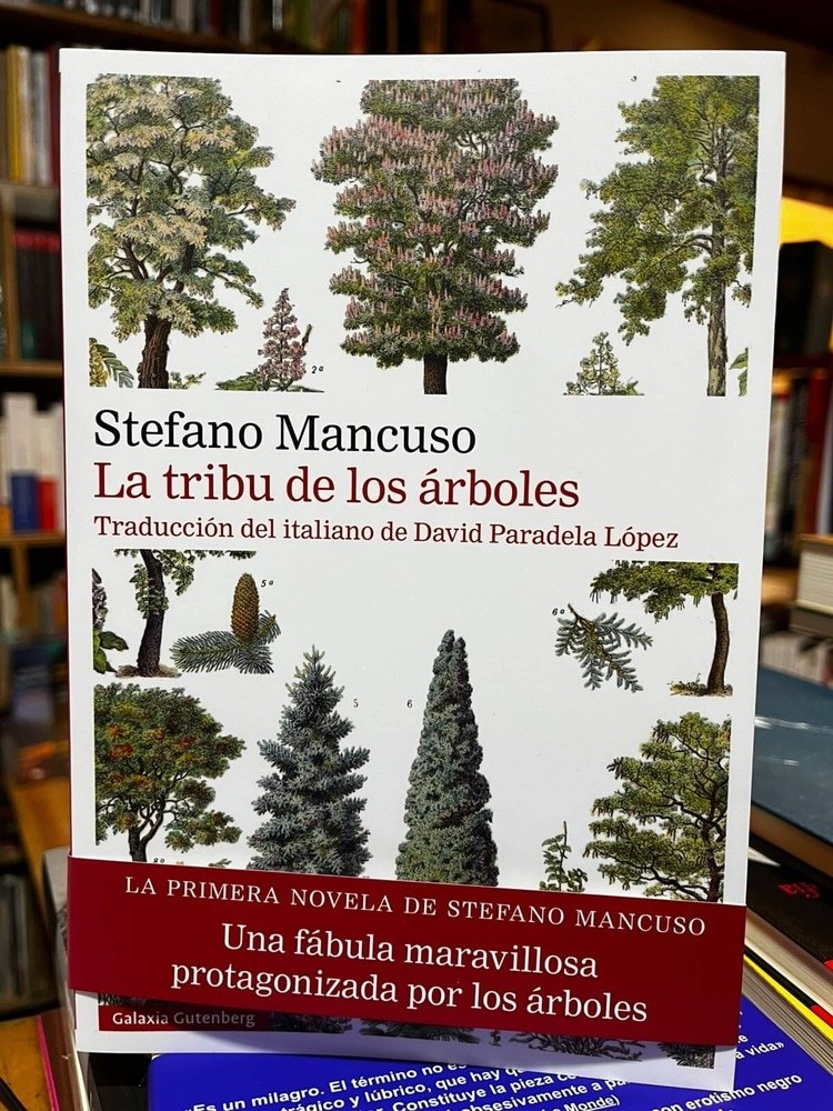 LA TRIBU DE LOS ARBOLES