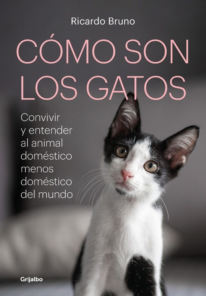 COMO SON LOS GATOS?