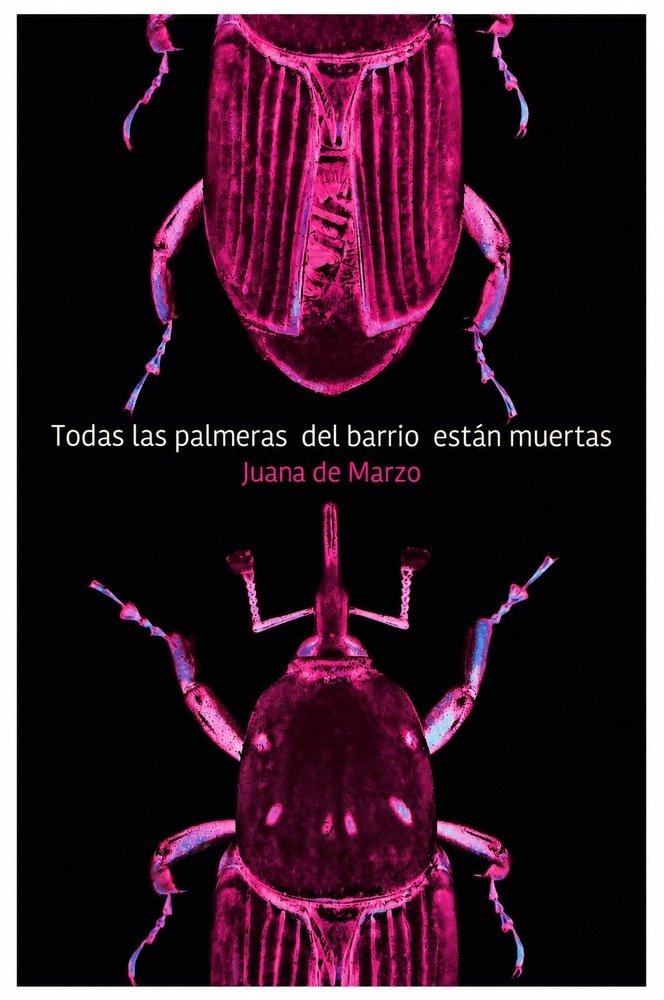 TODAS LAS PALMERAS DEL BARRIO ESTÁN MUERTAS (Nuevo)