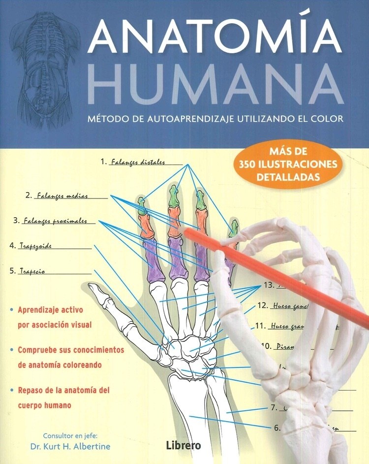 ANATOMÍA HUMANA