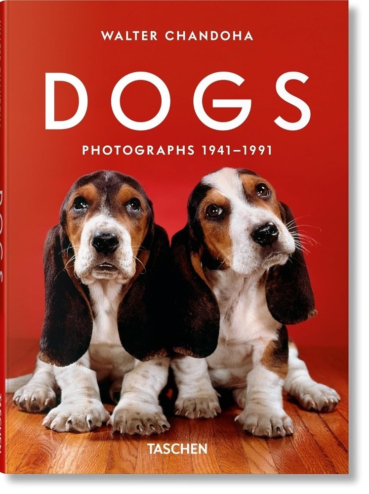 DOGS