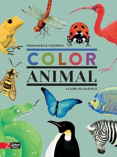 COLOR ANIMAL (Nuevo)
