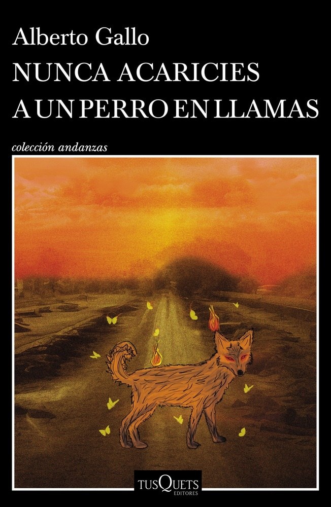 NUNCA ACARICIES UN PERRO EN LLAMAS