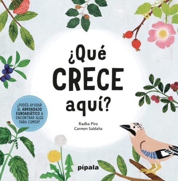 ¿QUE CRECE AQUI?