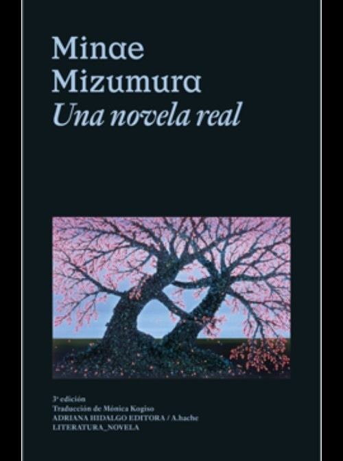NOVELA REAL, UNA