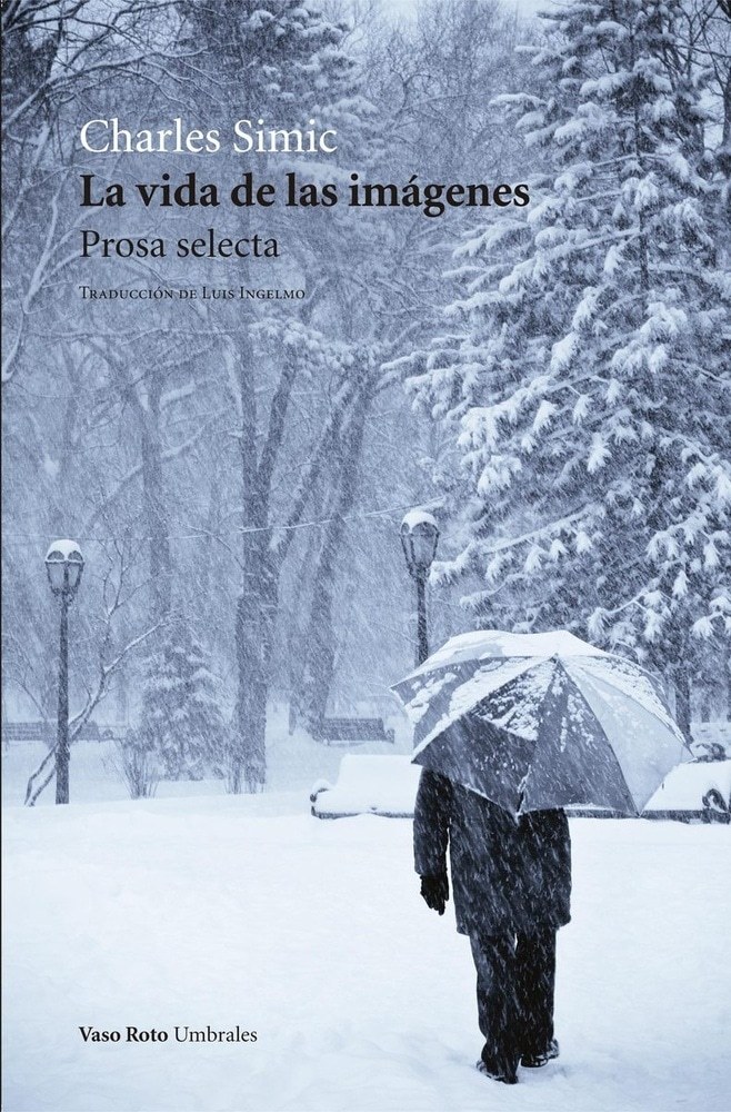 VIDA DE LAS IMÁGENES, LA (Nuevo)