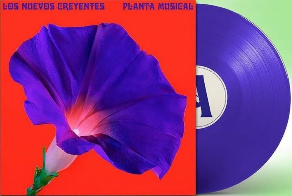 LOS NUEVOS CREYENTES | PLANTA MUSICAL (2021) (Nuevo)
