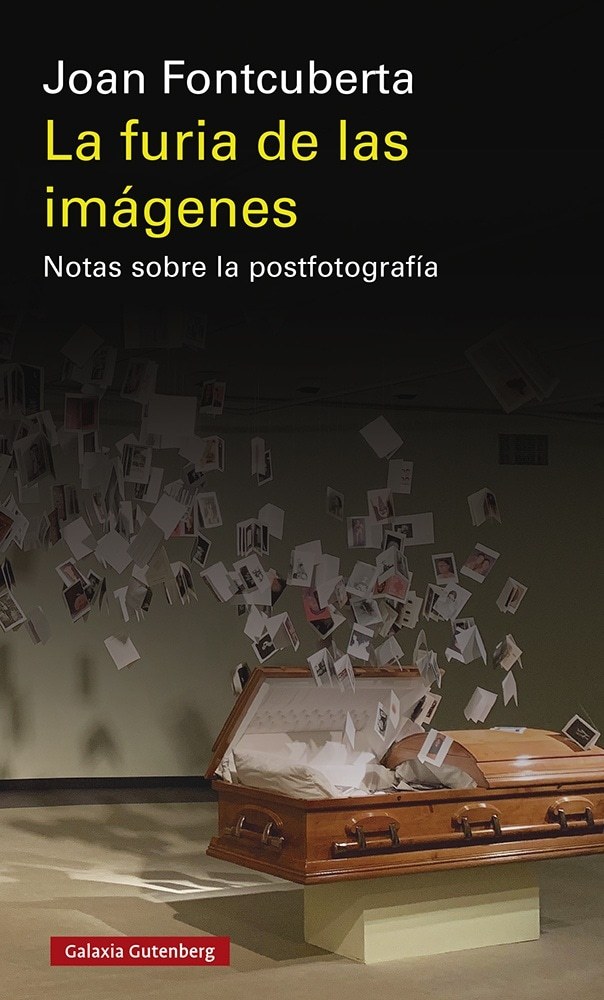 LA FURIA DE LAS IMAGENES