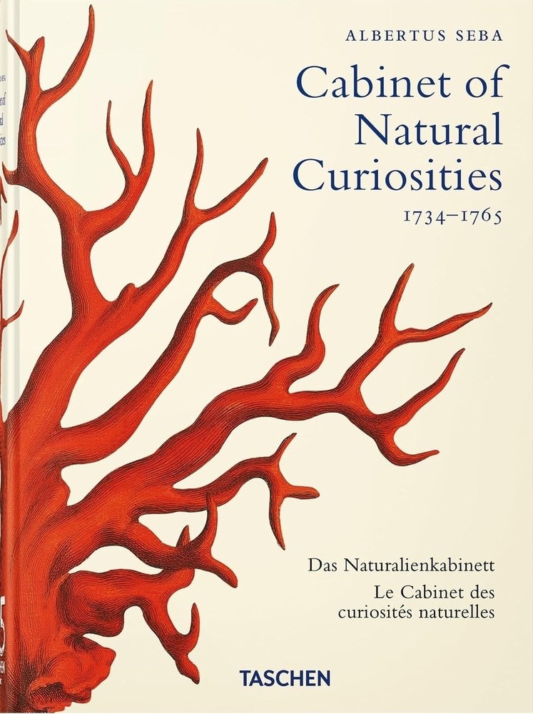 CABINET OF NATURAL CURIOSITIES