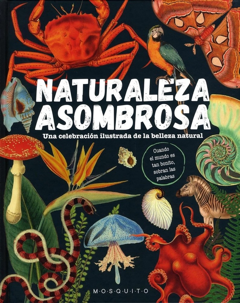 NATURALEZA ASOMBROSA - UNA CELEBRACIÓN ILUSTRADA DE LA BELLEZA NATURAL