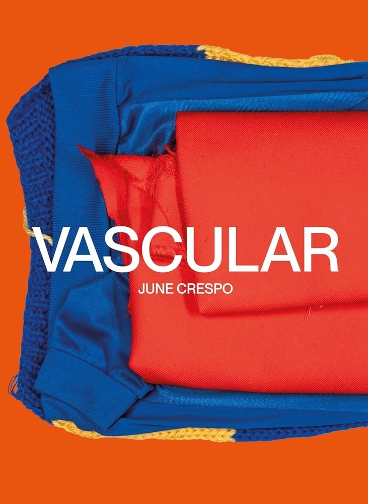 VASCULAR (Nuevo)
