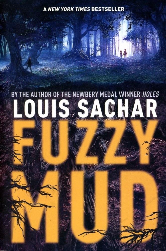 FUZZY MUD