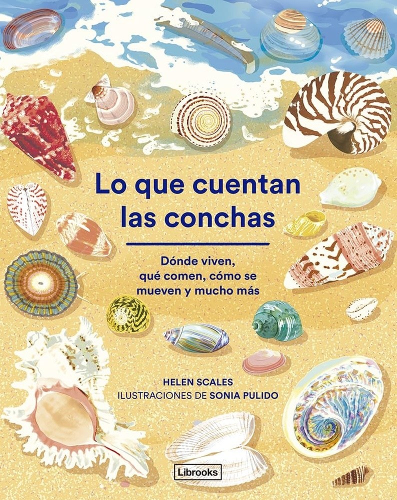 LO QUE CUENTAN LAS CONCHAS (Nuevo)