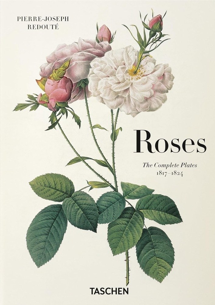 REDOUTE. ROSES