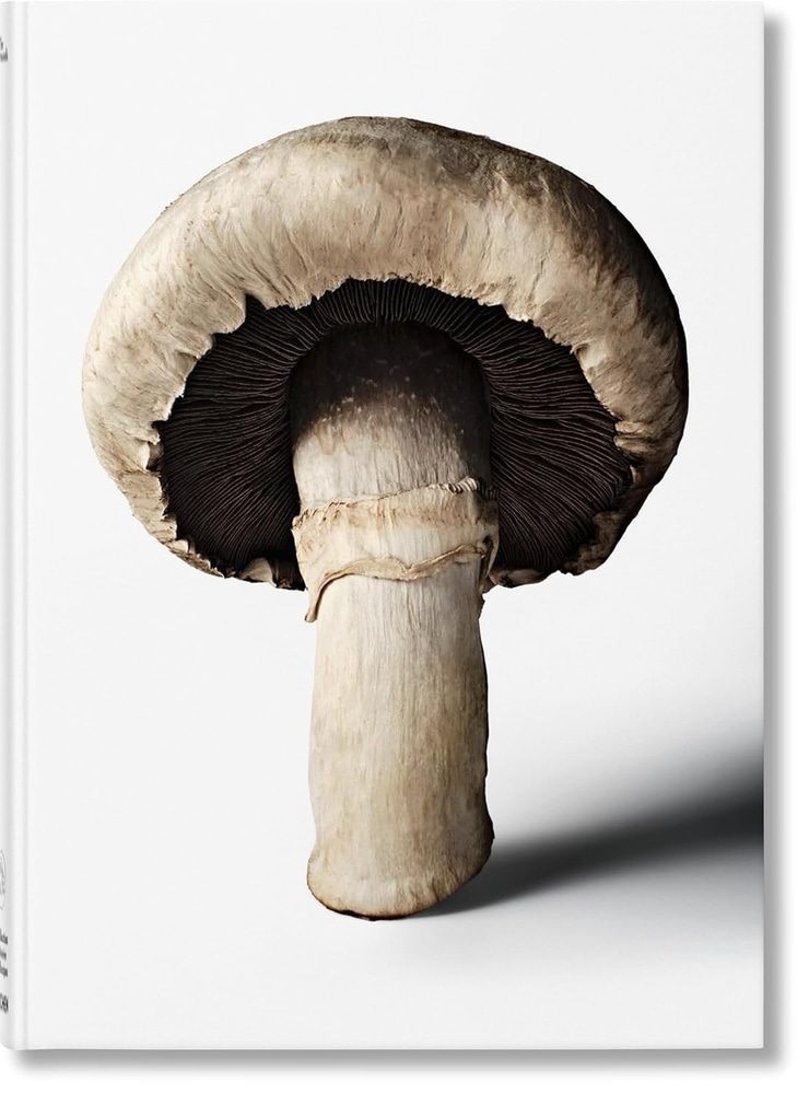 THE GOURMAND S MUSHROOM