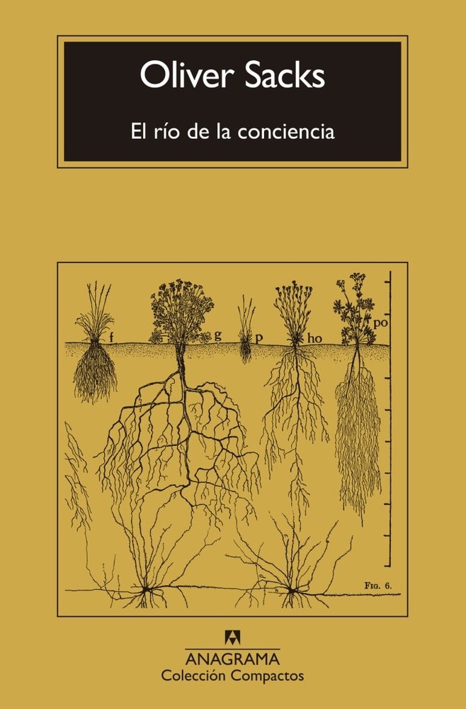 EL RIO DE LA CONCIENCIA
