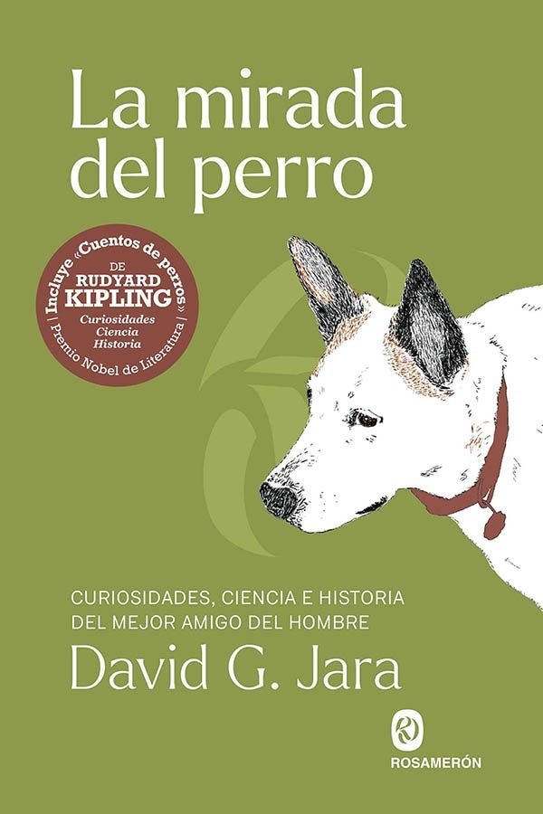 LA MIRADA DEL PERRO