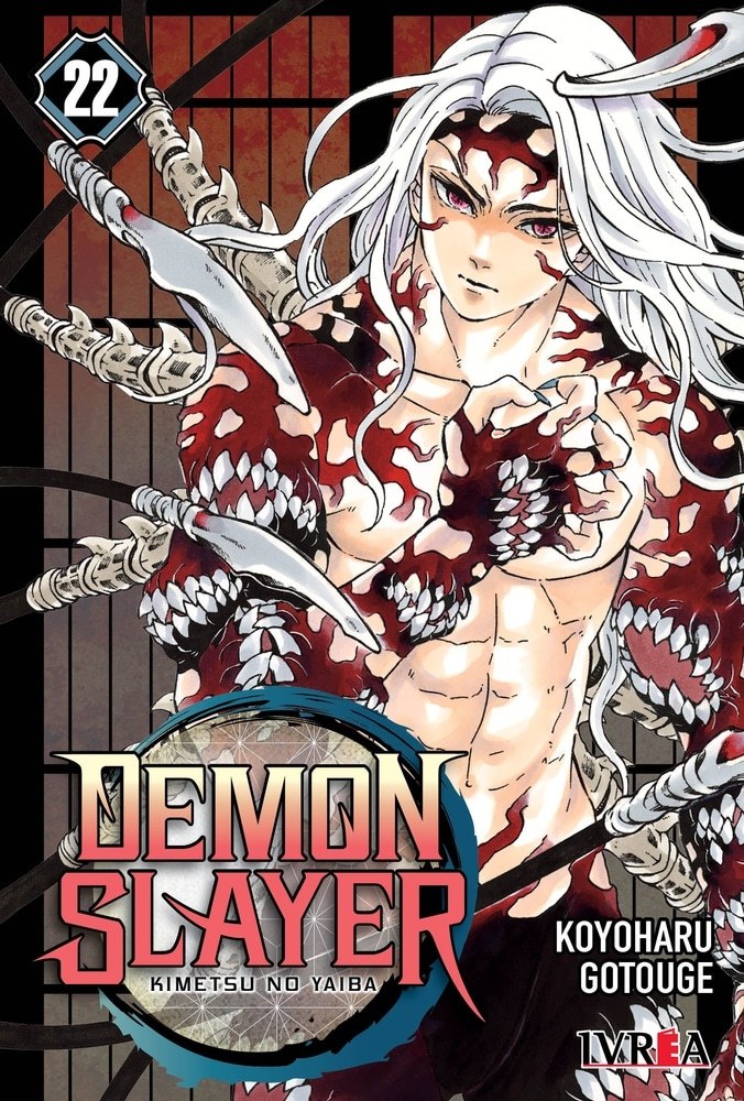 DEMON SLAYER.KIMETSU NO YAIBA 22