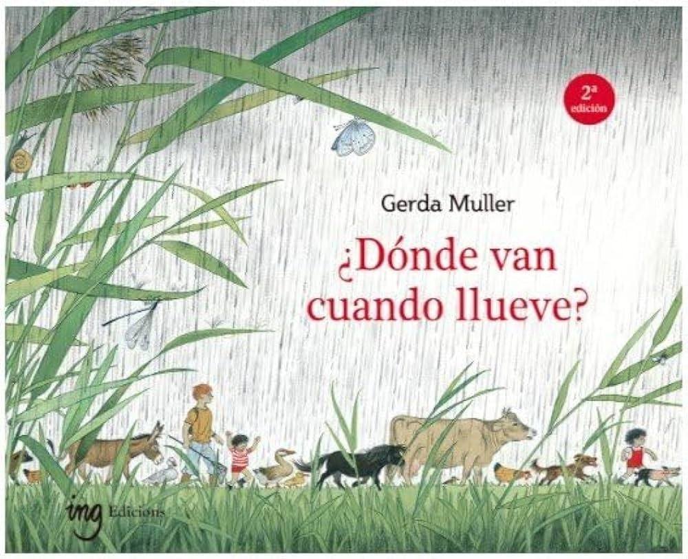 ¿DÓNDE VAN CUANDO LLUEVE? (Nuevo)