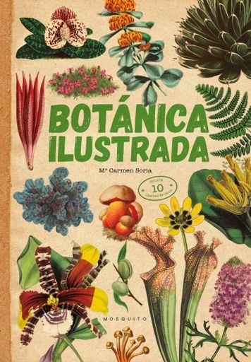 BOTANICA ILUSTRADA