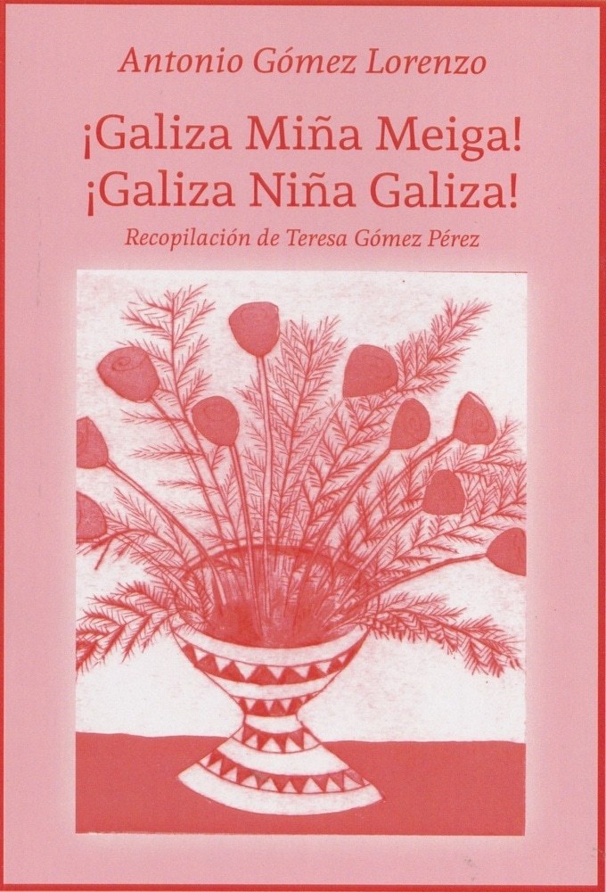 GALIZA MIÑA MEIGA! GALIZIA NIÑA GALIZIA
