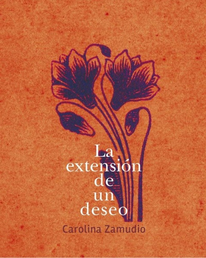 LA EXTENSION DE UN DESEO