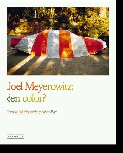 JOEL MEYEROWITZ: EN COLOR?