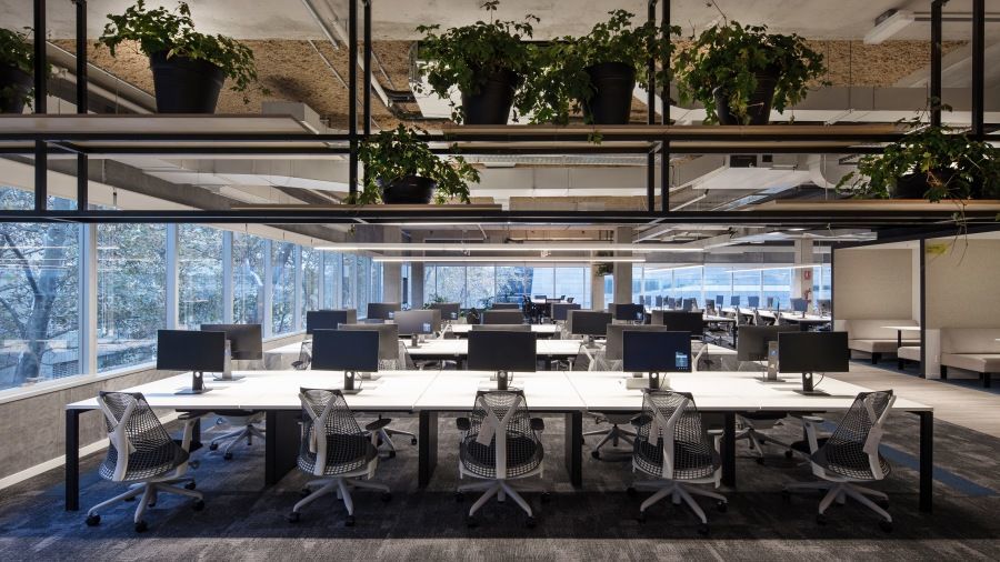 Iluminación de oficinas: bienestar, motivación y rendimiento