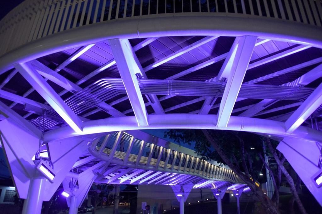 proyecto_176_1.jpg