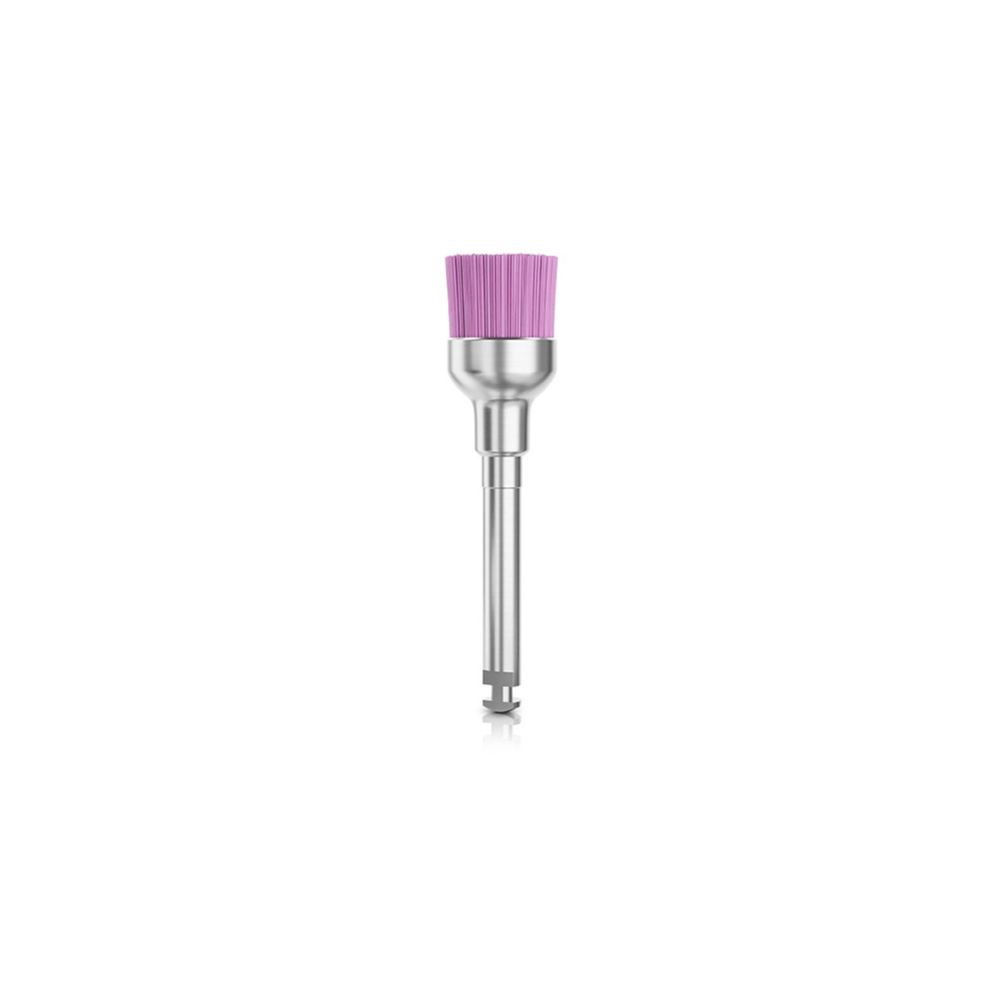 Cepillo Para Profilaxis De Colores Recto