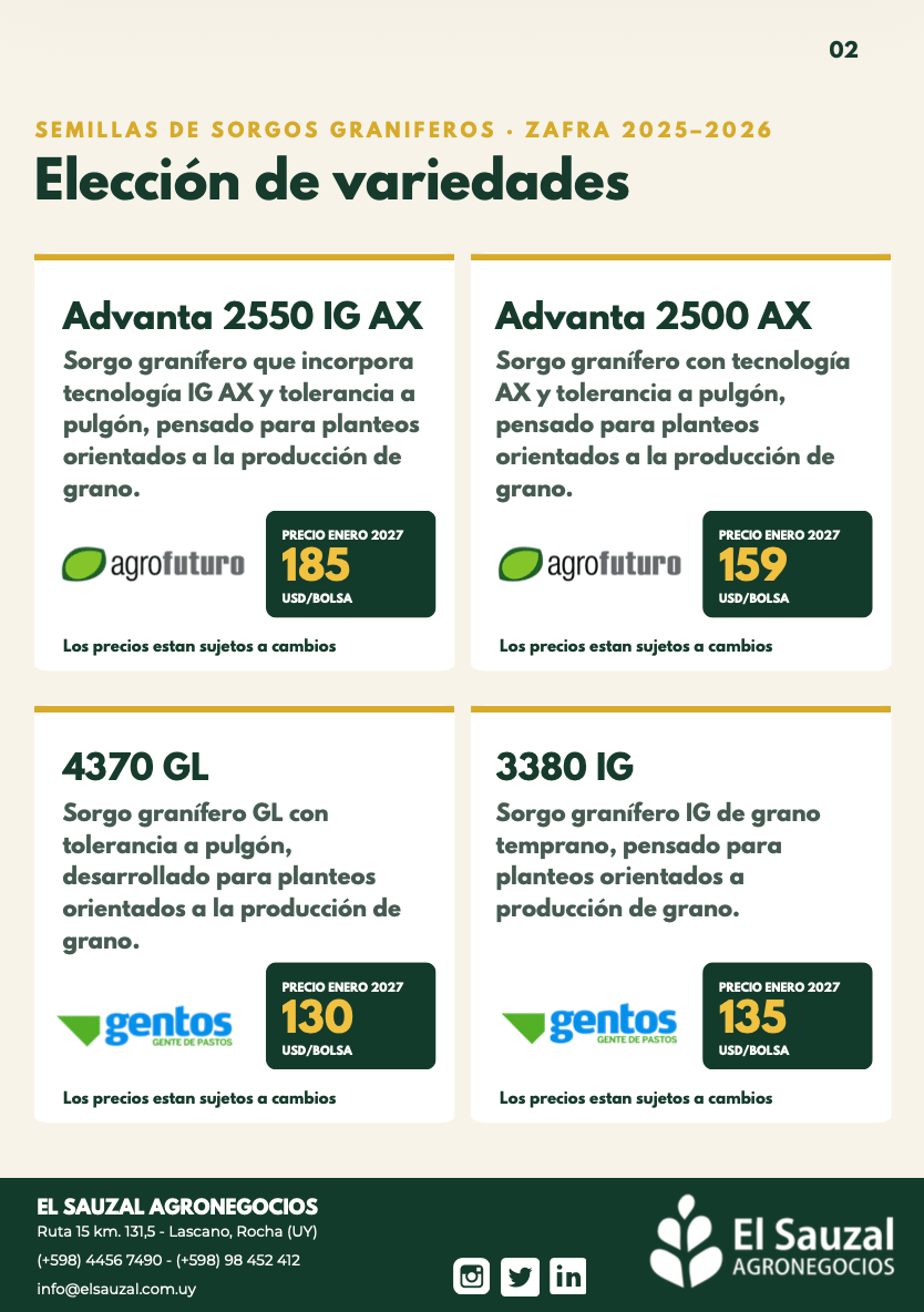 imagen slider