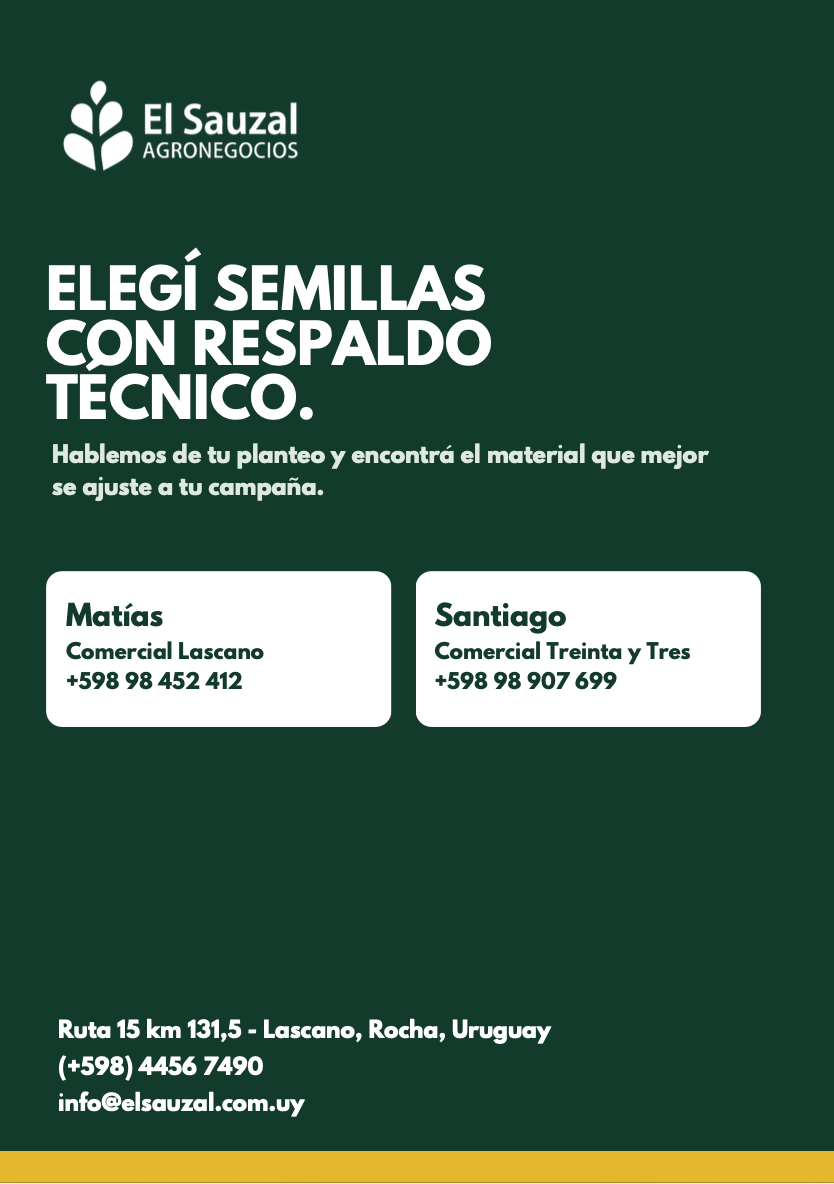 imagen slider