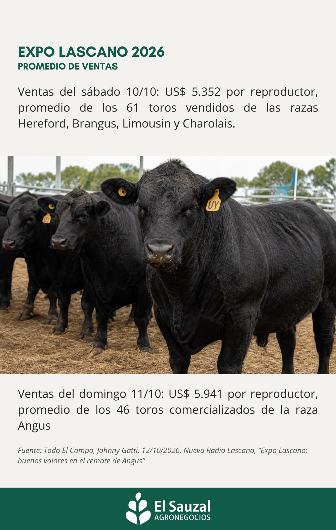 imagen slider