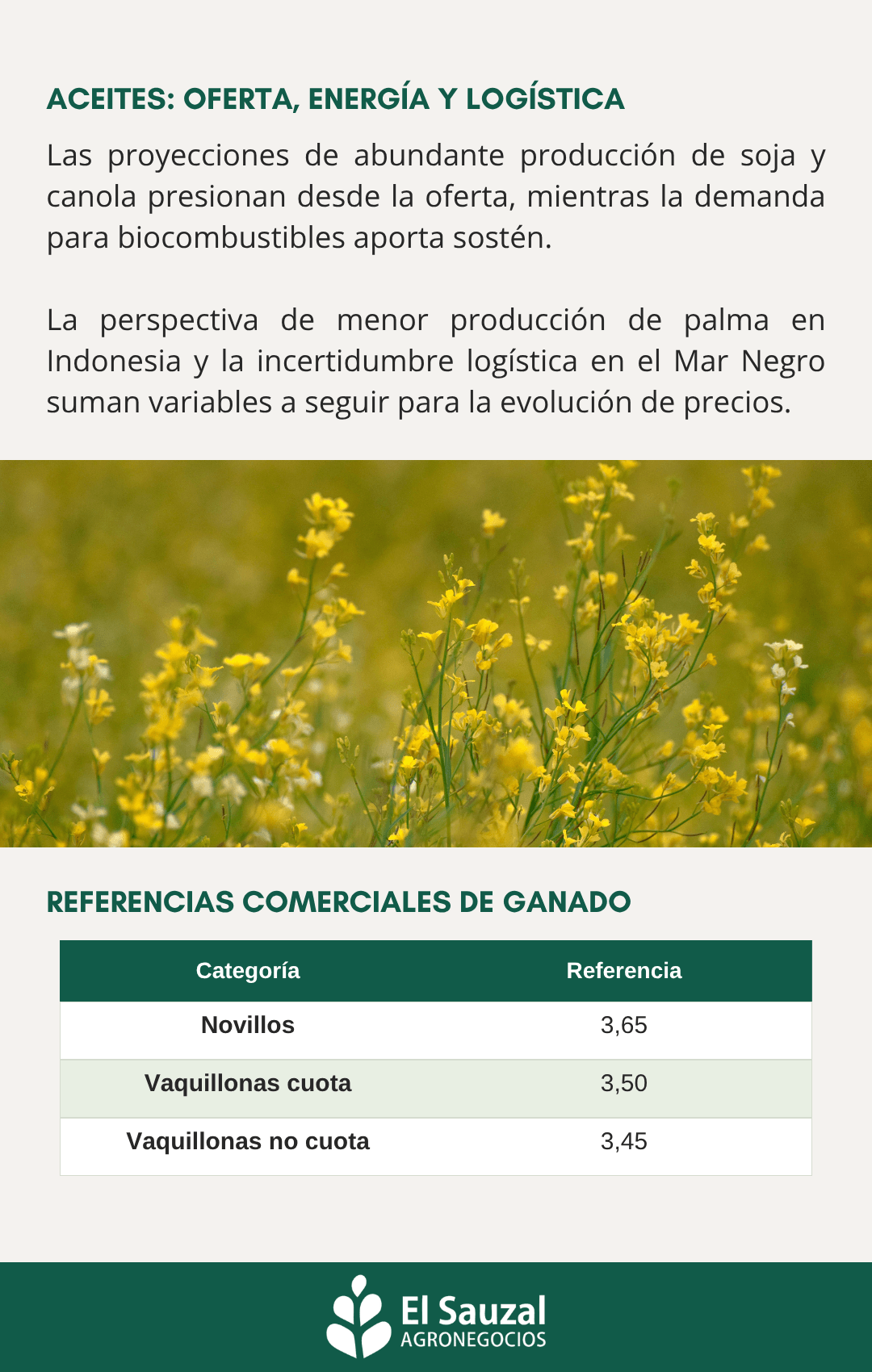imagen slider