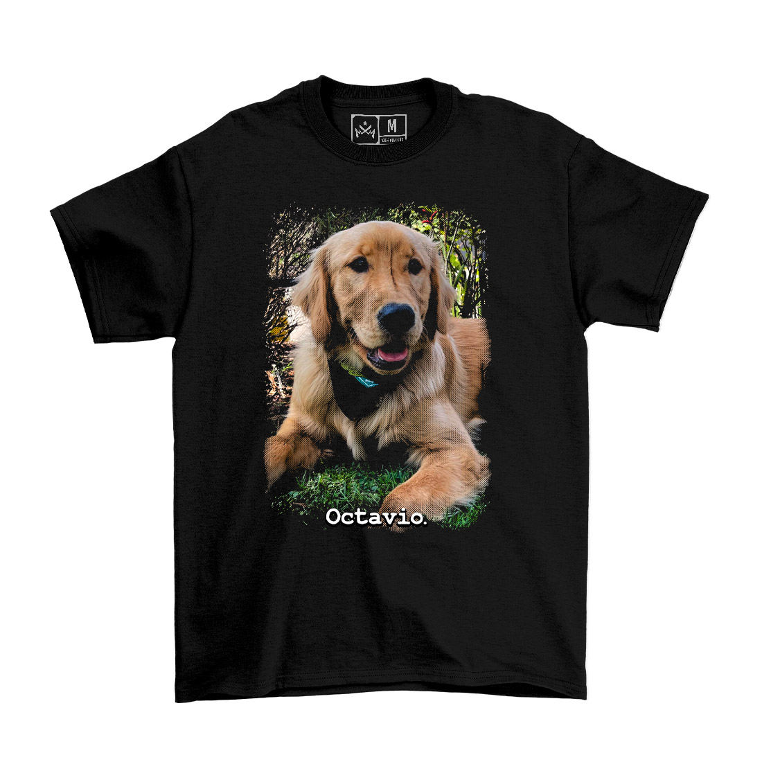 Remera de tus Mascota - Personalizada
