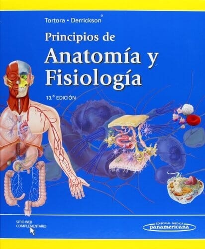 PRINCIPIOS DE ANATOMÍA Y FISIOLOGÍA