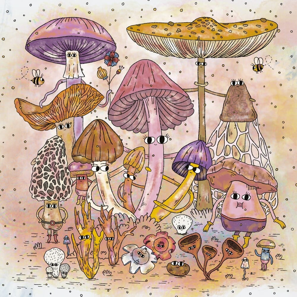 AMIGONGOS