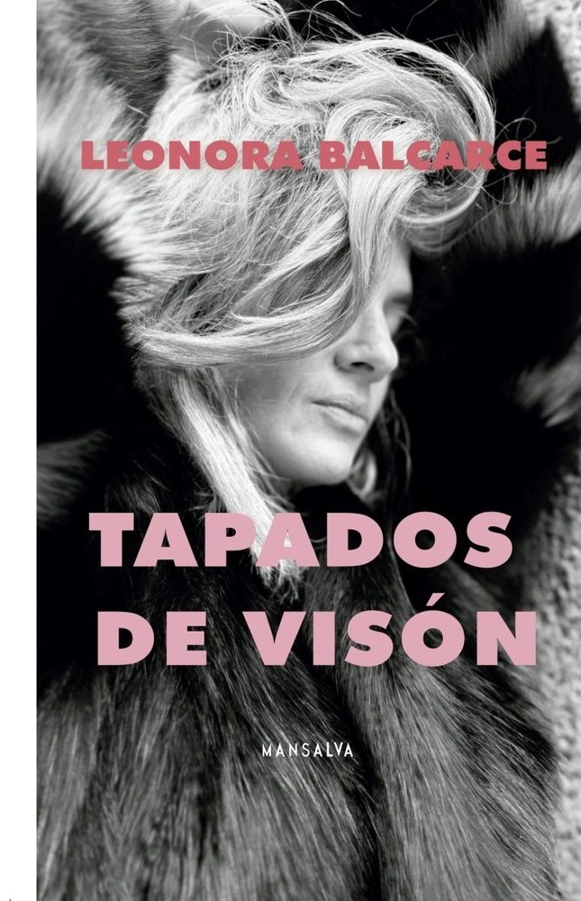 TAPADOS DE VISION
