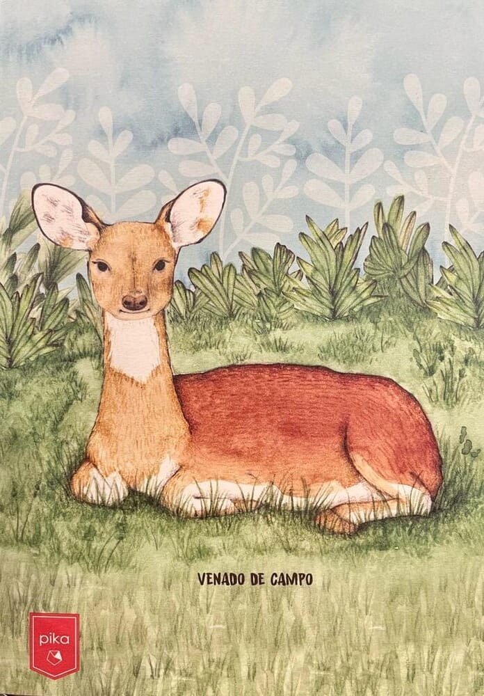 CUADERNO ANIMALES URUGUAY