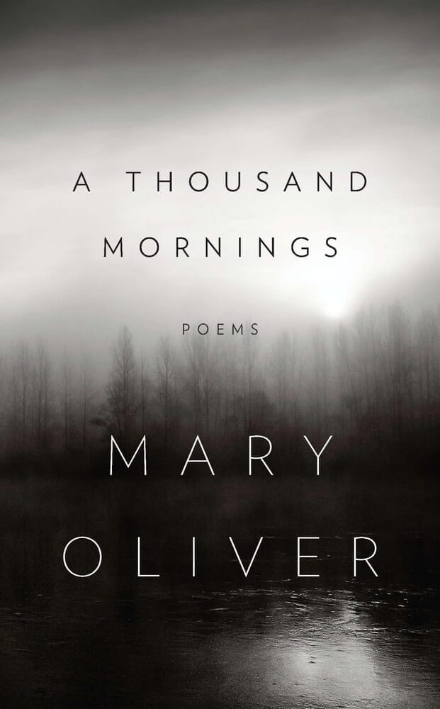 A THOUSAND MORNINGS