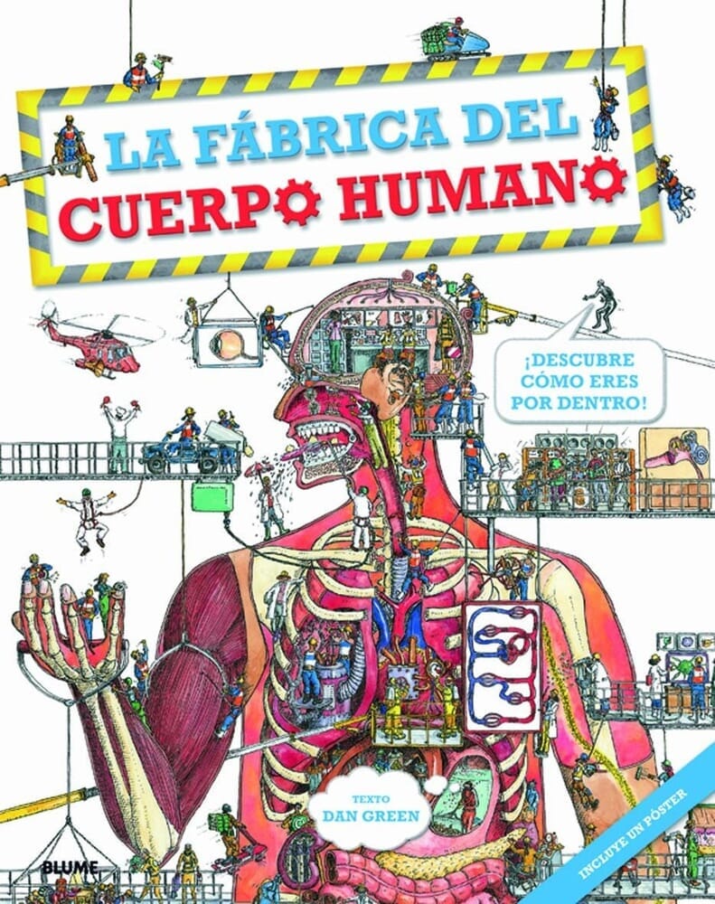 LA FABRICA DEL CUERPO HUMANO