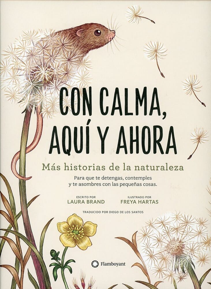 CON CALMA, AQUÍ Y AHORA