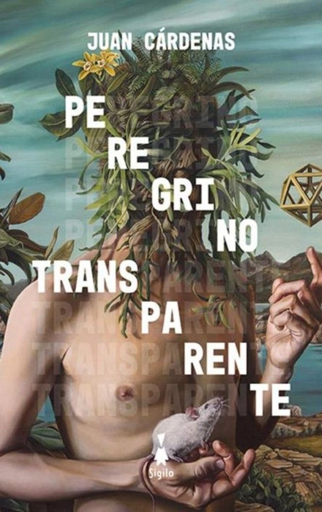 PEREGRINO TRANSPARENTE