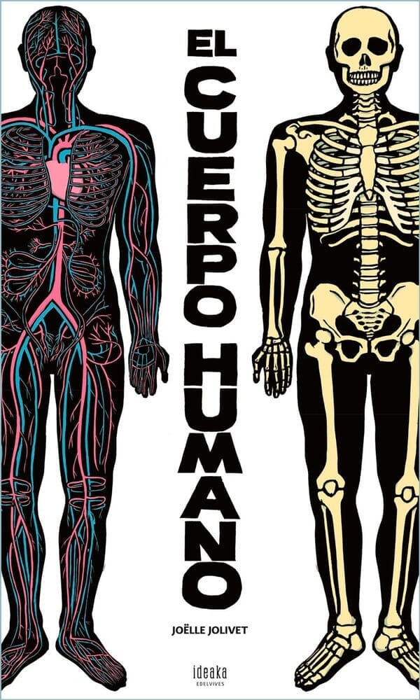 EL CUERPO HUMANO