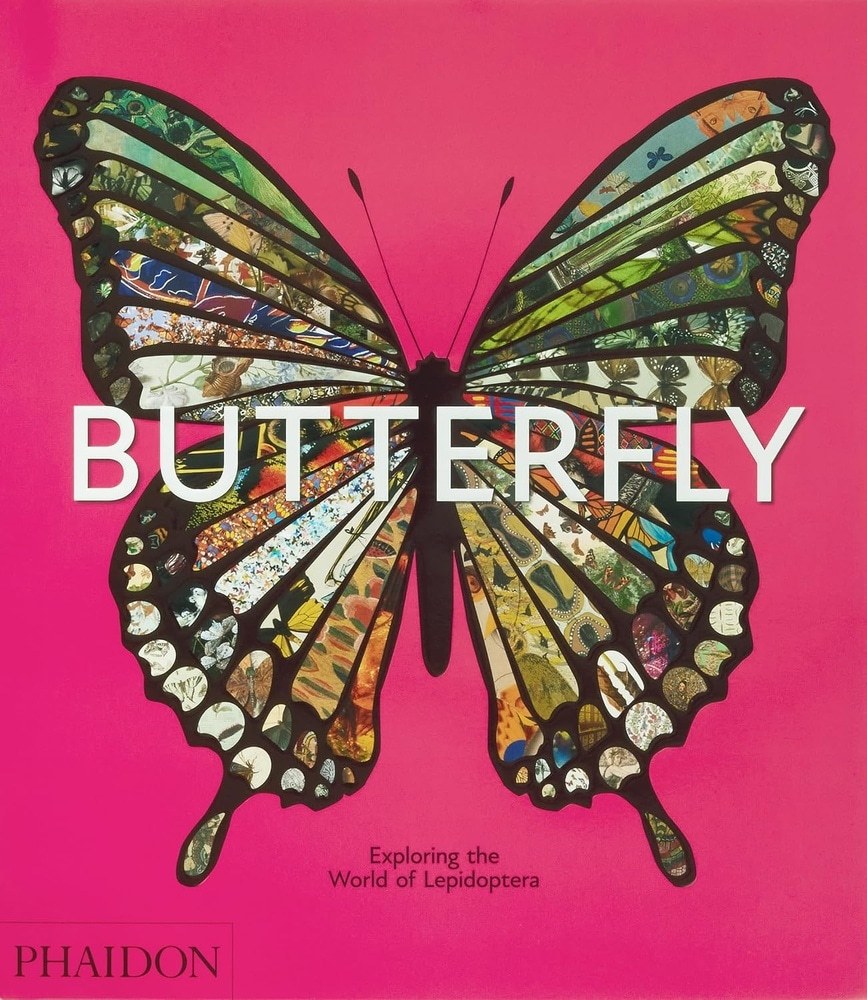 BUTTERFLY: EXPLORING THE WORLD OF LEPIDOPTERA