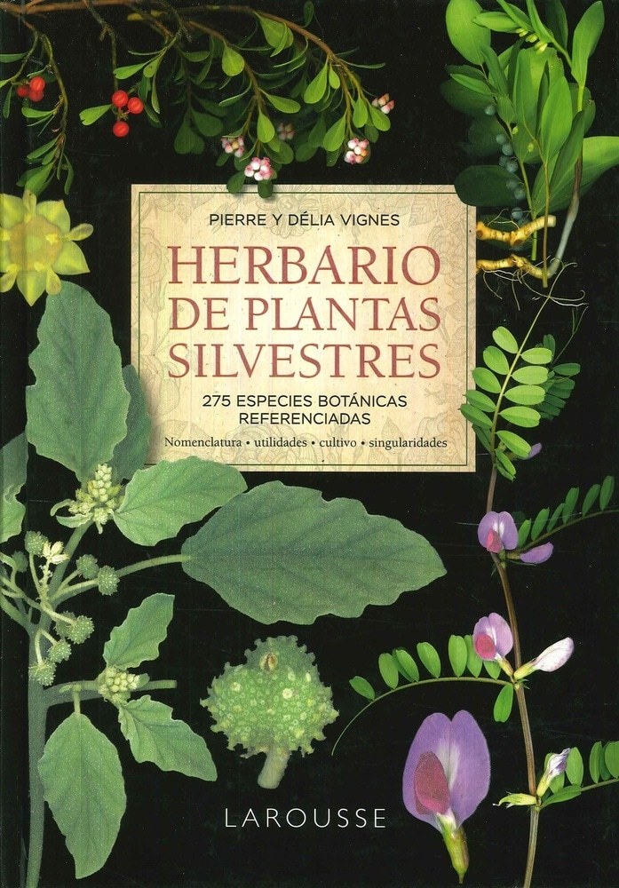 HERBARIO DE PLANTAS SILVESTRES