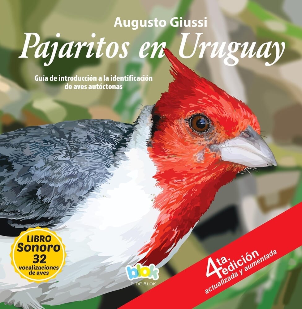 PAJARITOS EN URUGUAY